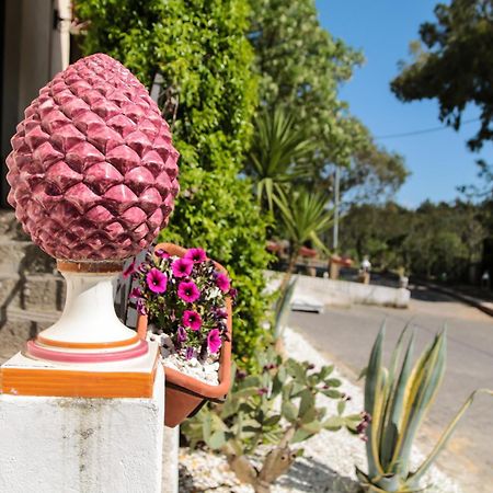 Agriturist Soleluna Caltagirone Kültér fotó